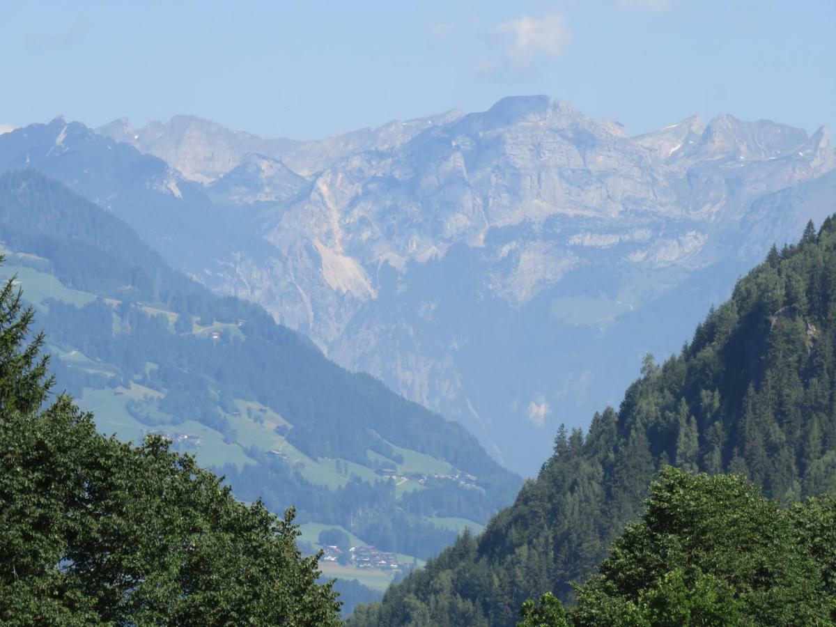 Schneiderhäusl Zillertal Apartment *